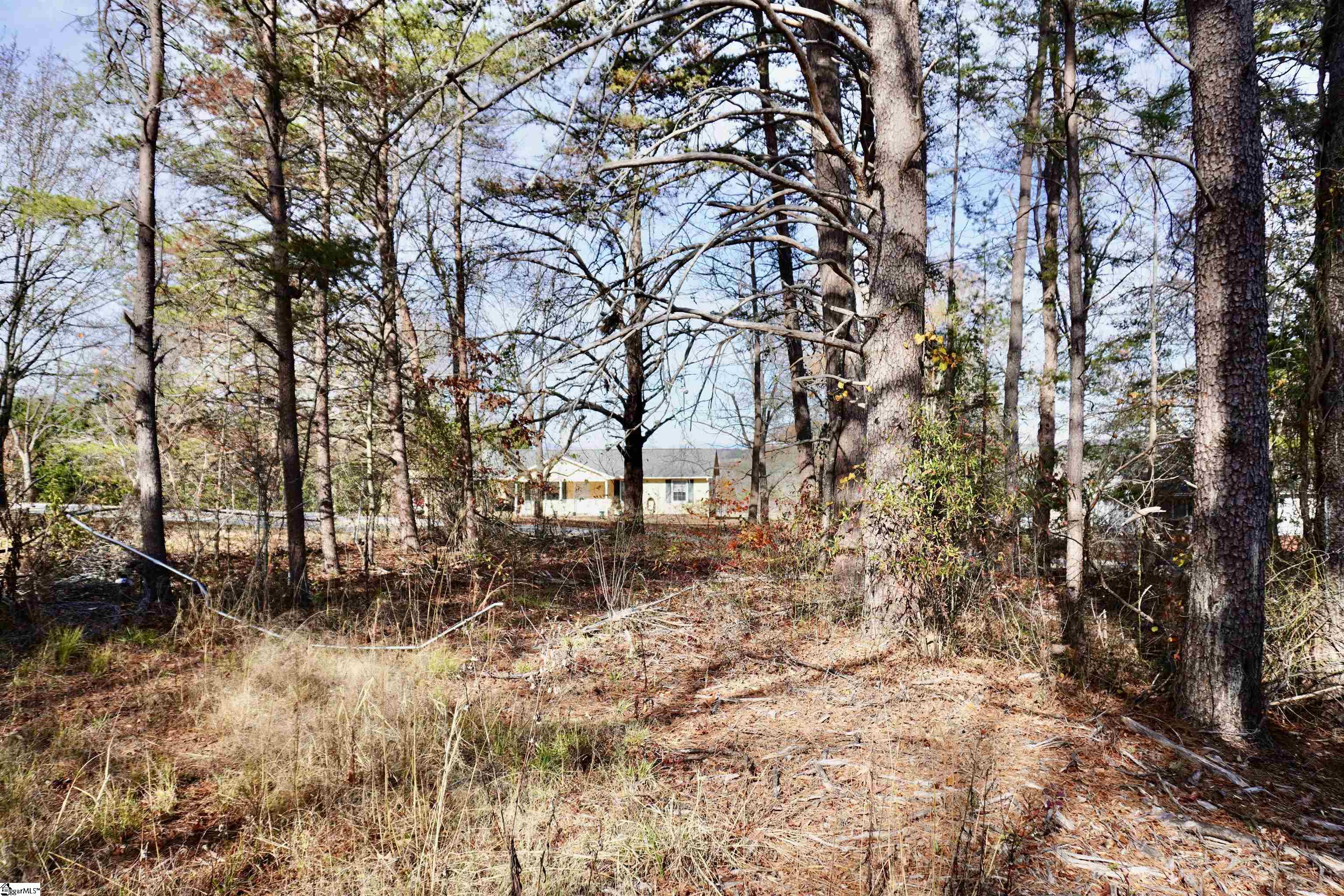 0 Dickson Road Campobello, SC 29322 - Photo 8 of 8