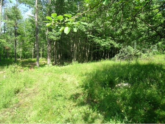 Pleasant Valley Road Wolfeboro, NH 03894 - Photo 1 of 1