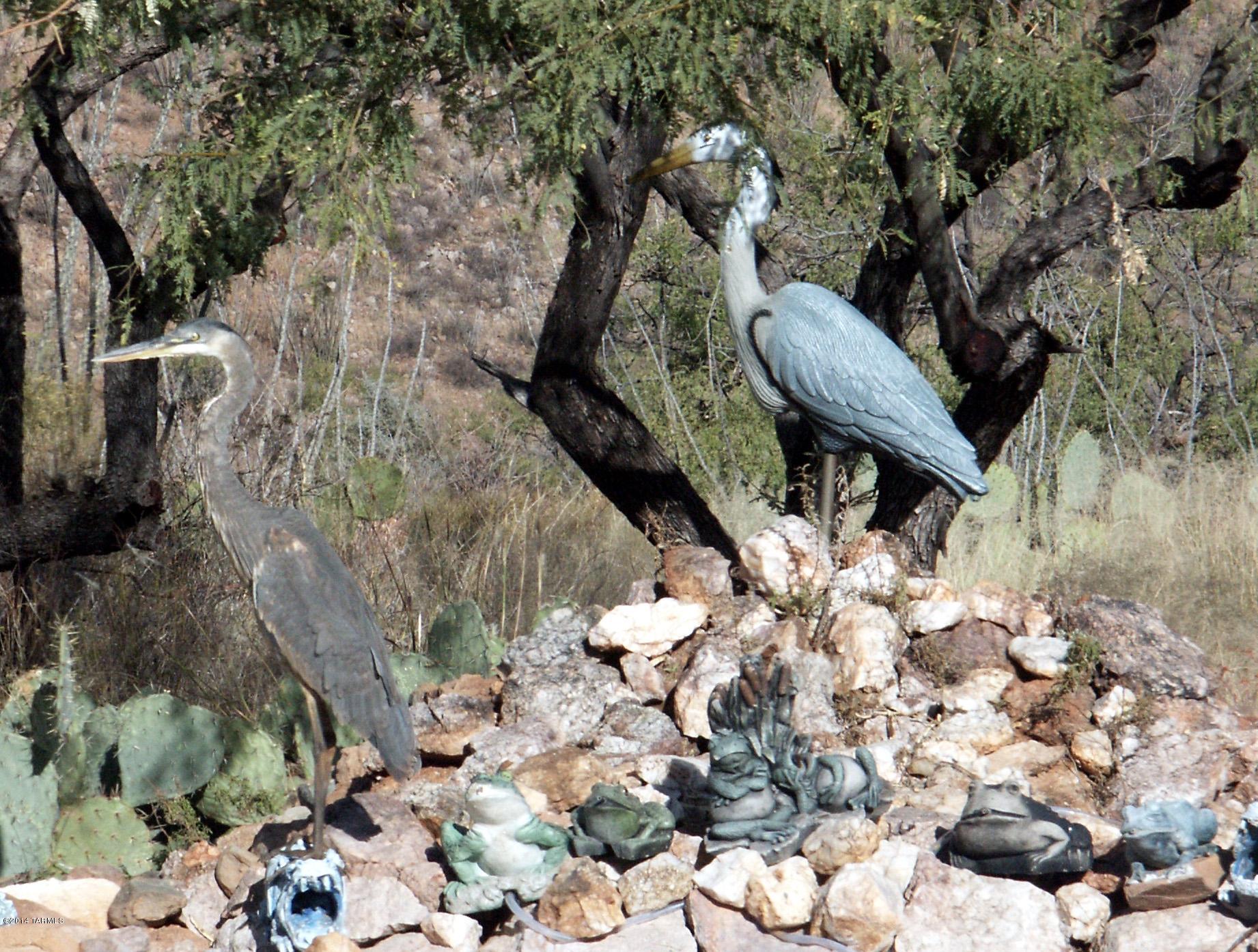 74 Camino Tango Rio Rico, AZ 85648 - Photo 20 of 27
