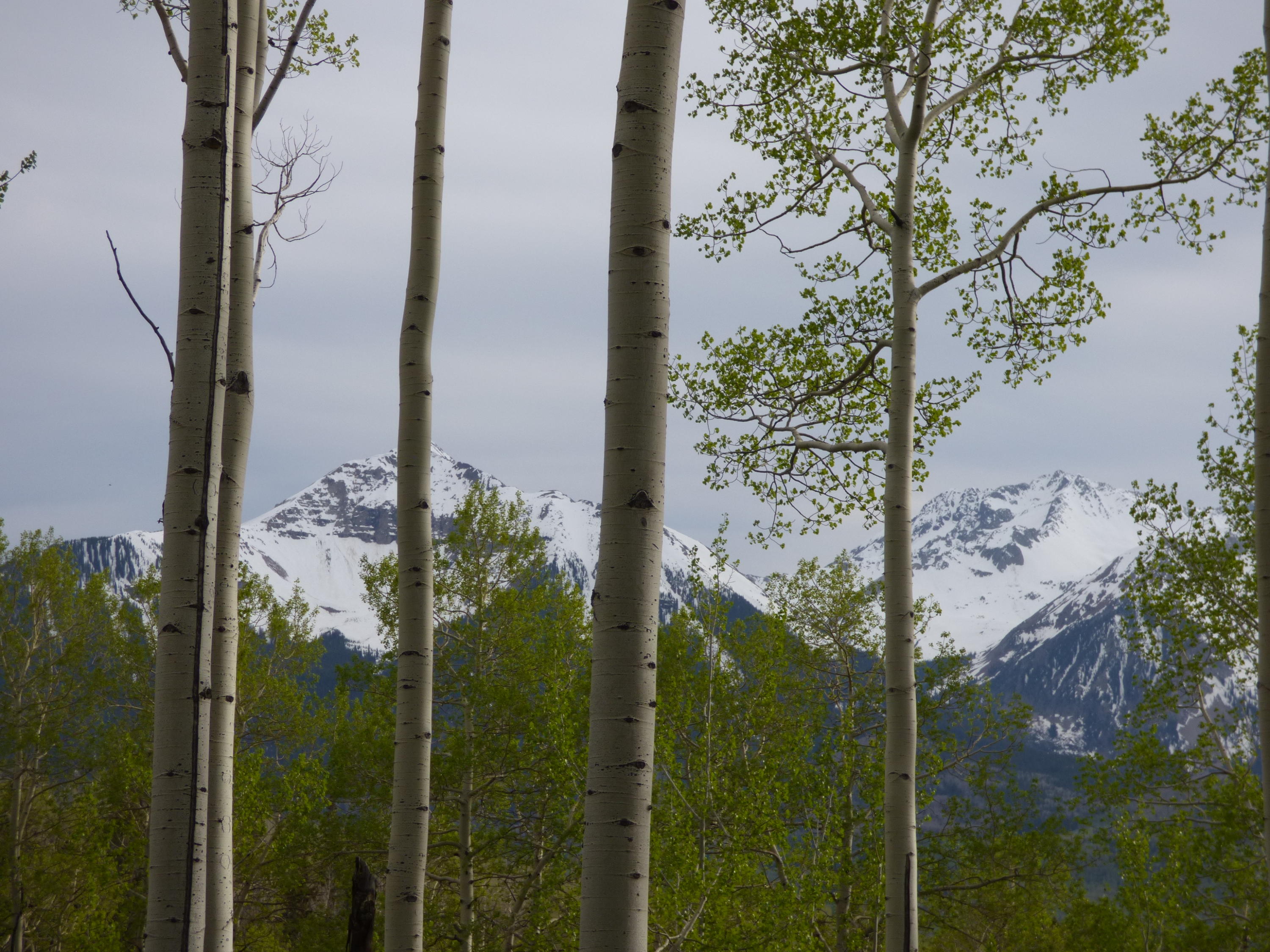 Tbd Ridge Road Telluride, CO 81435 - Photo 13 of 17 Wilsons 3