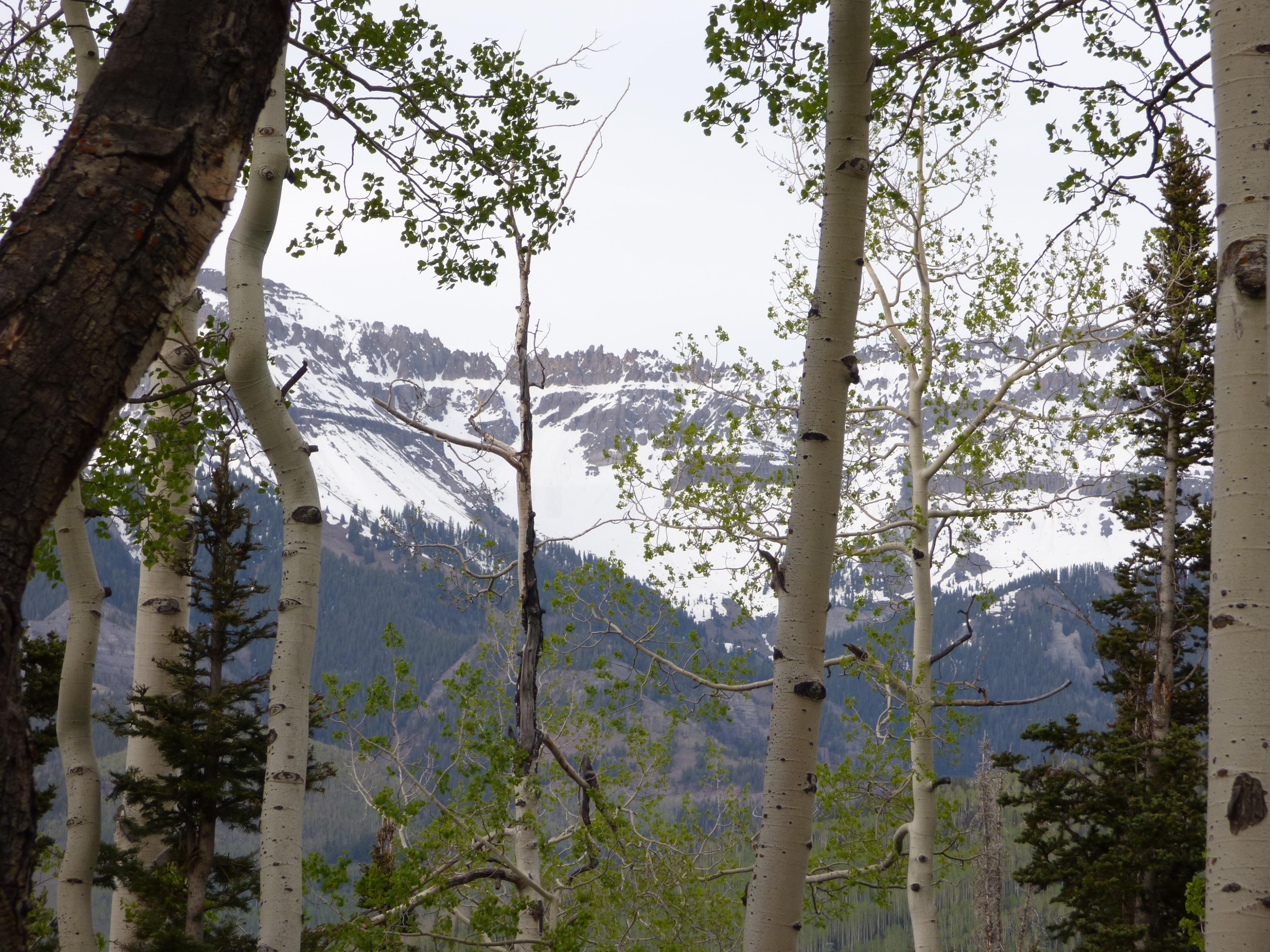 Tbd Ridge Road Telluride, CO 81435 - Photo 6 of 17 San Sophia Ridgeline 2