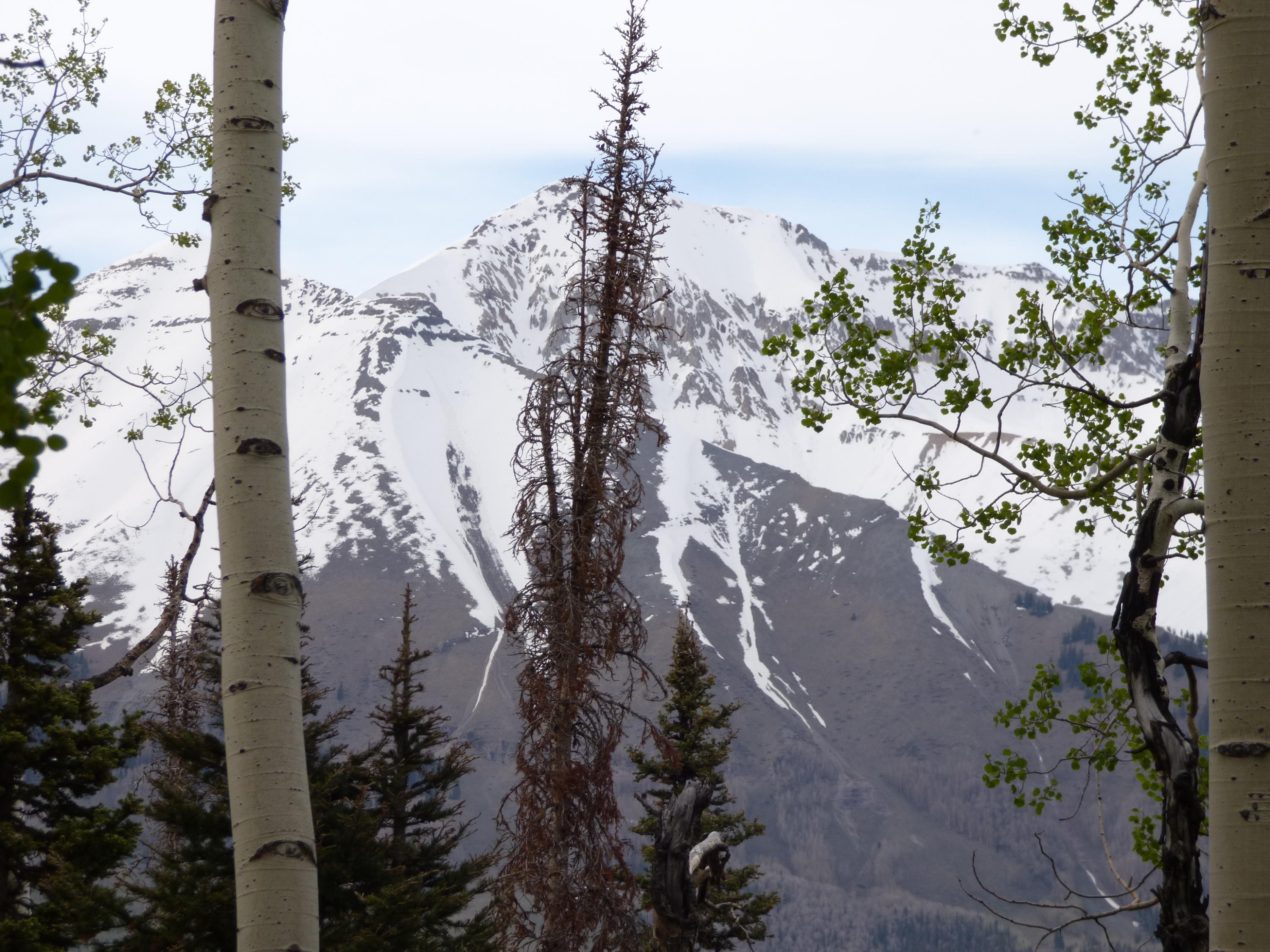 Tbd Ridge Road Telluride, CO 81435 - Photo 7 of 17 San Sophia Ridgeline 3