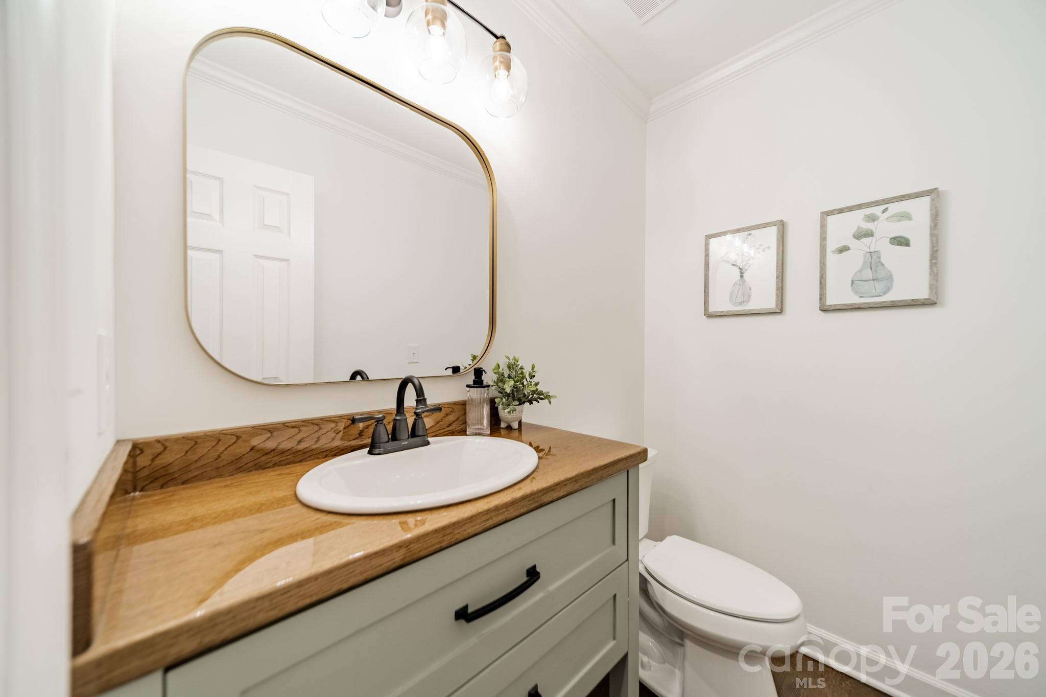 231 South Downs Way Fort Mill, SC 29708 - Photo 24 of 48 a bathroom with a sink a toilet and mirror