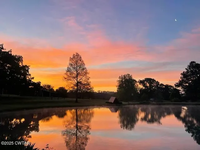 a view of outdoor space with garden and entertaining space