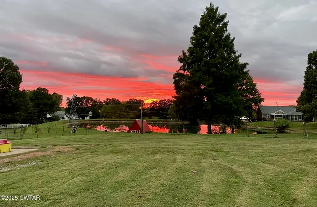 a view of a lake from a yard