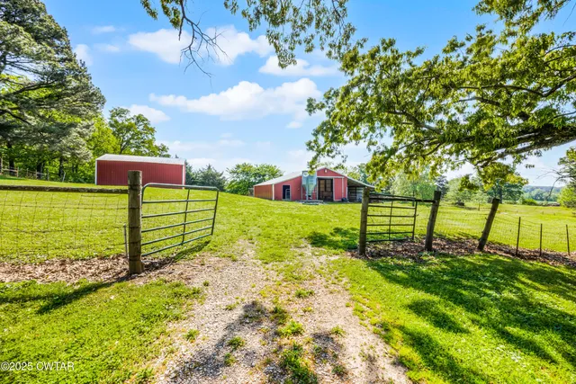 a view of a park with large trees