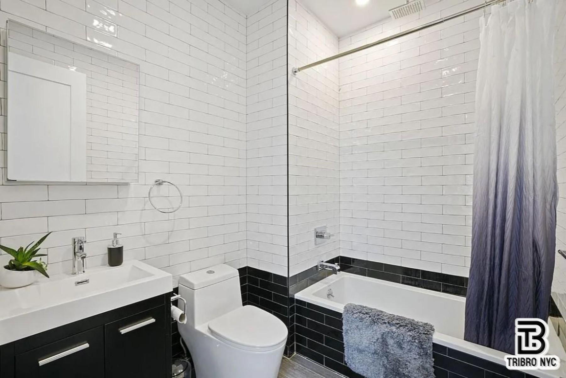 378 South 3rd Street, Unit 1S Brooklyn, NY 11211 - Photo 5 of 6 a bathroom with a granite countertop bathtub sink vanity mirror and toilet