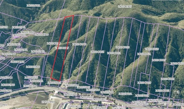 a view of a palm tree next to a house