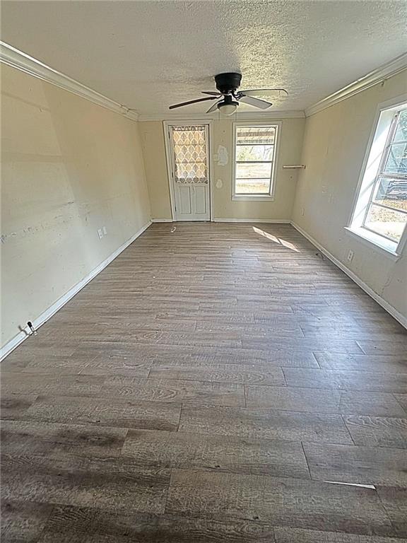 197 T Gaspard Road Marksville, LA 71351 - Photo 8 of 12