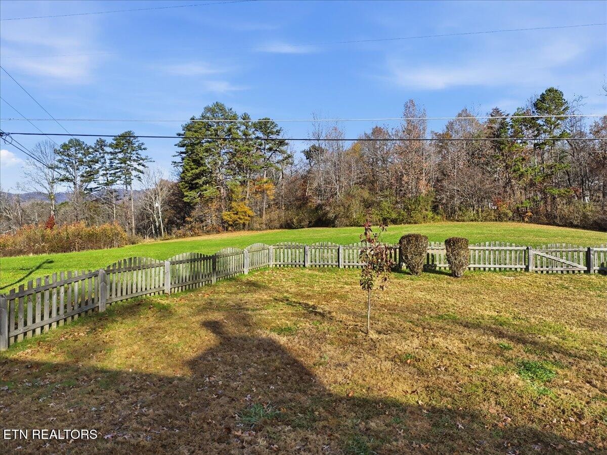 105 Carl Terry Road Wartburg, TN 37887 - Photo 49 of 55