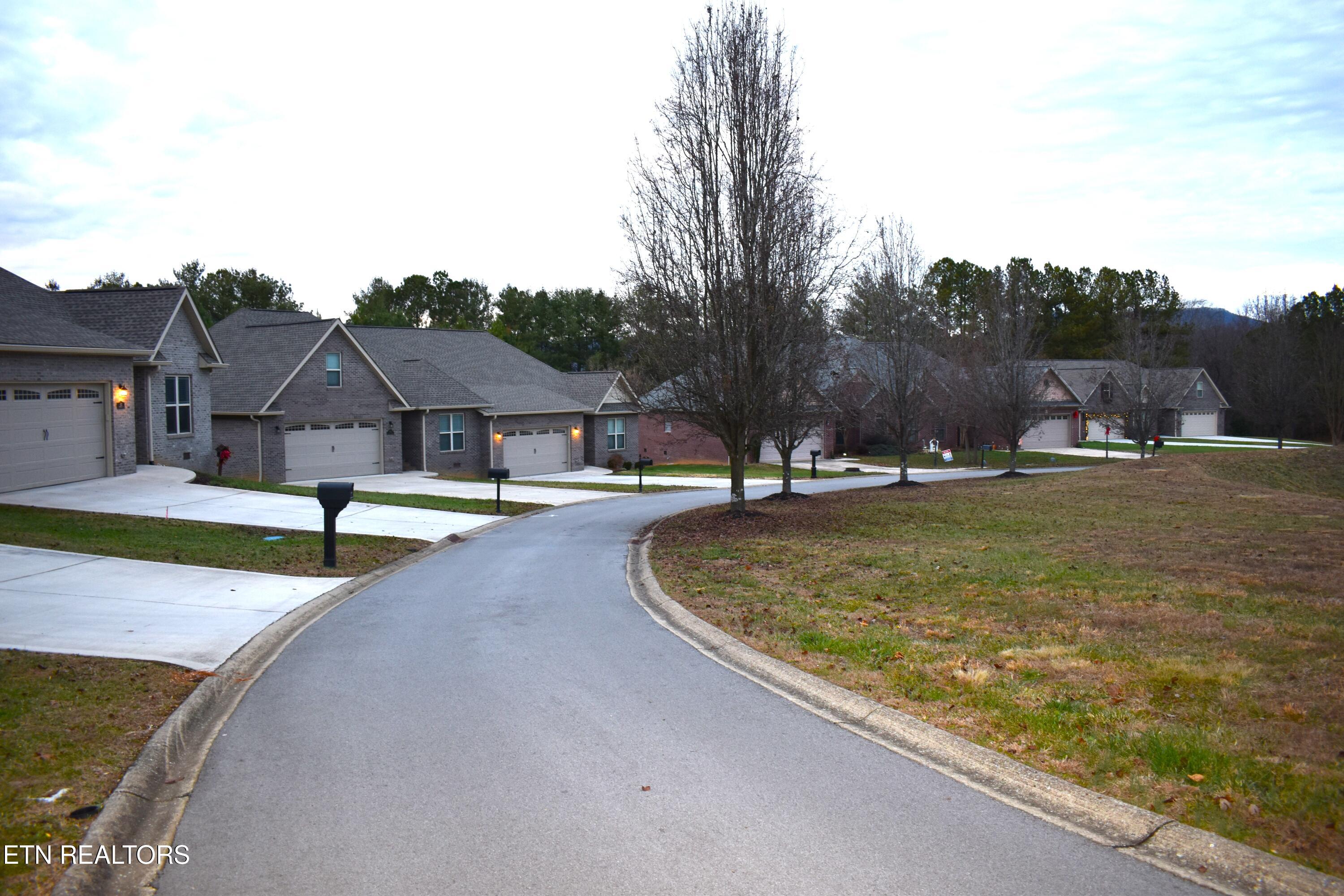 420 Cromwe Street Harrogate, TN 37752 - Photo 6 of 24 DSC_0015