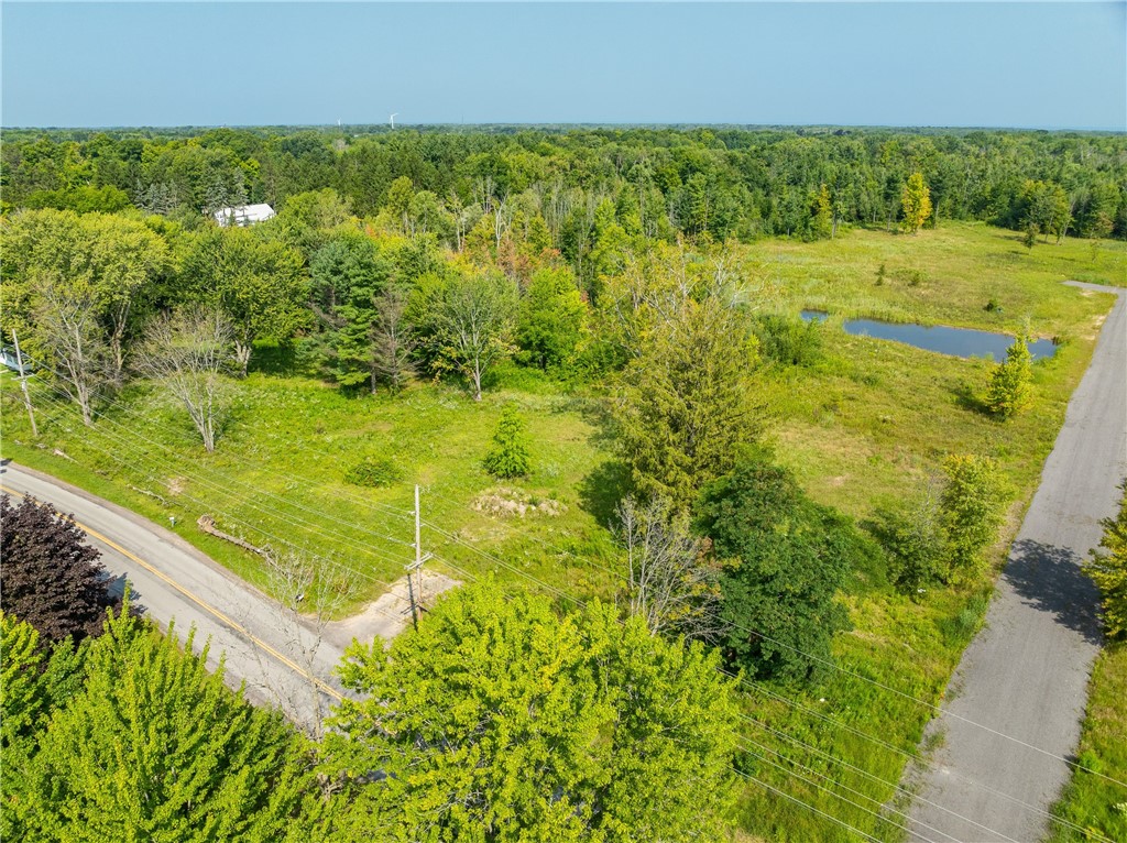 Lot 2 Clevenger Road Ontario, NY 14519 - Photo 4 of 10