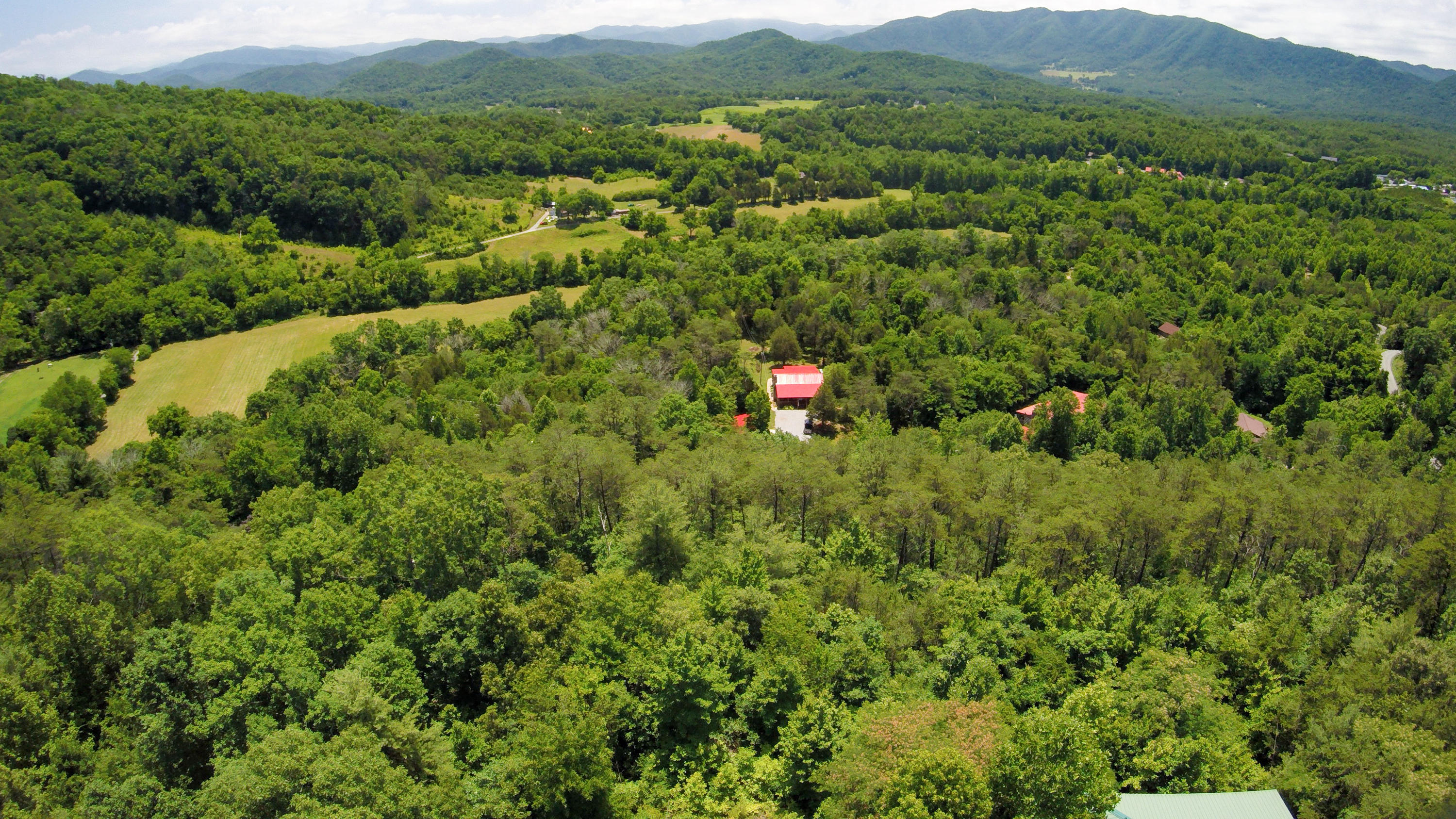 120 Pauley Gap Road Townsend, TN 37882 - Photo 33 of 34 DSC_10012-4