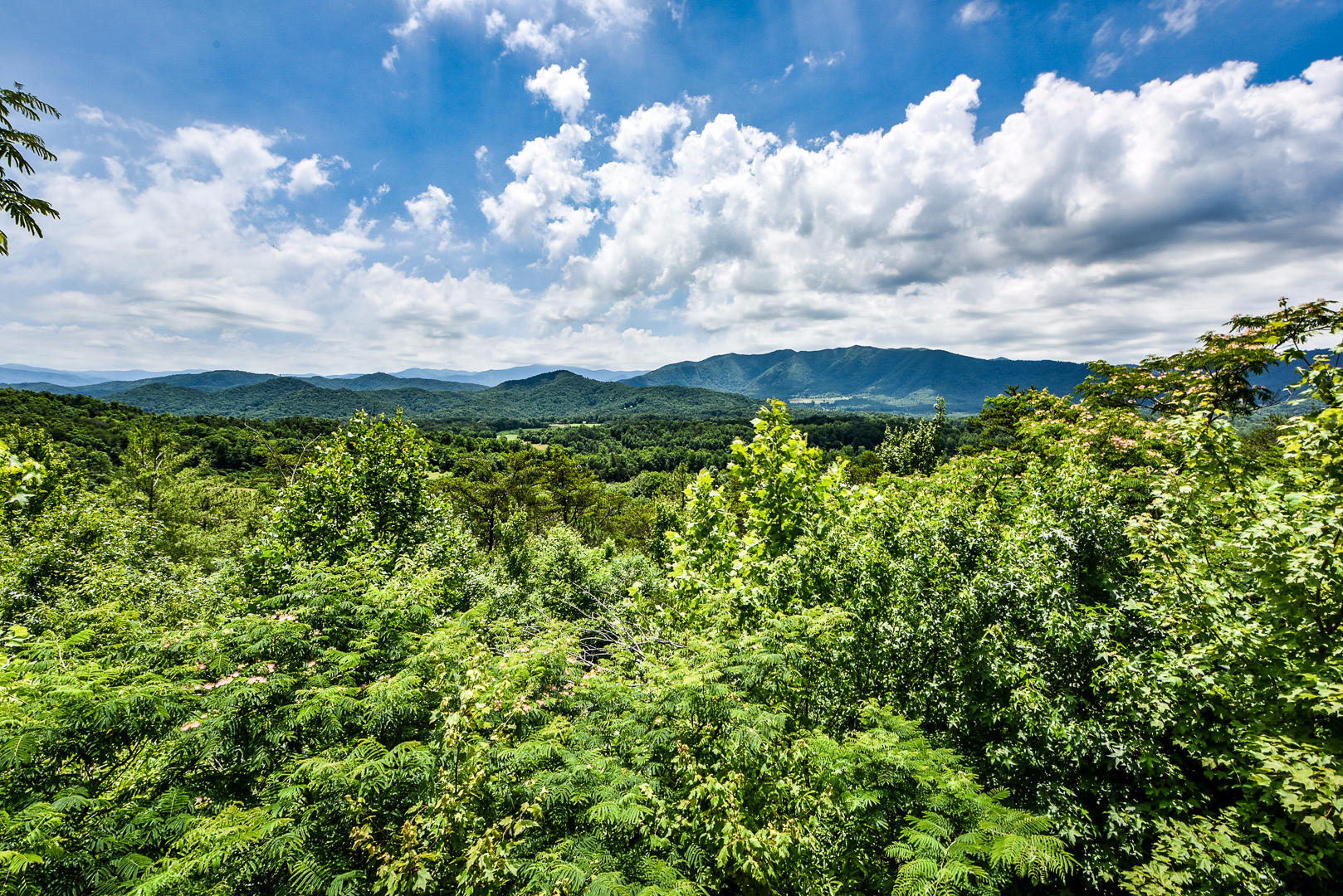 120 Pauley Gap Road Townsend, TN 37882 - Photo 6 of 34 DSC_7895