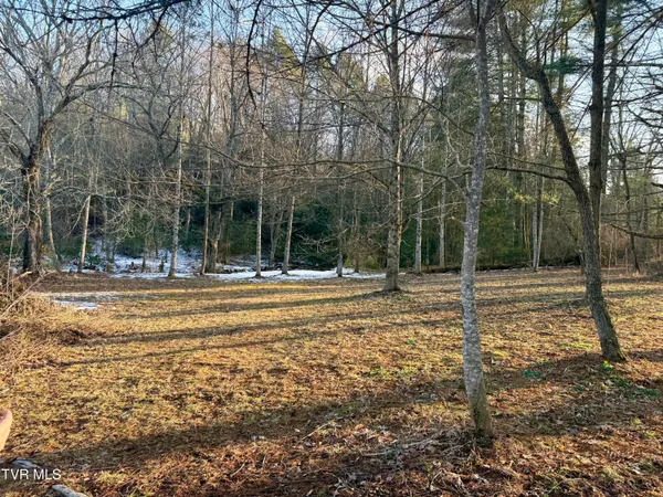 $374,000 | 12996 River Lane, Coeburn, VA 24230