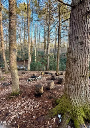 $374,000 | 12996 River Lane, Coeburn, VA 24230