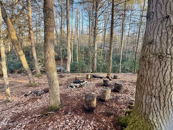 $374,000 | 12996 River Lane, Coeburn, VA 24230