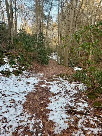 $374,000 | 12996 River Lane, Coeburn, VA 24230