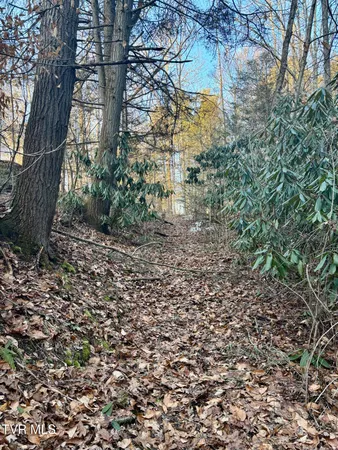 $374,000 | 12996 River Lane, Coeburn, VA 24230