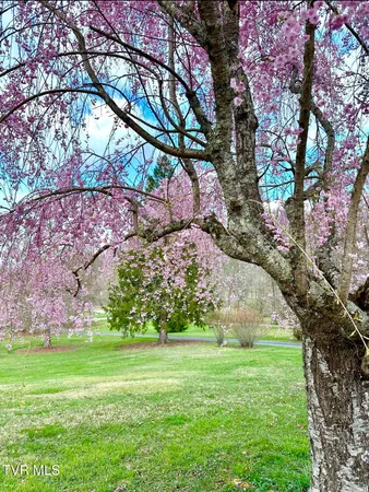 $374,000 | 12996 River Lane, Coeburn, VA 24230