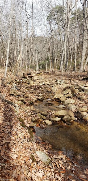0 Reid Road King, NC 27021 - Photo 10 of 41