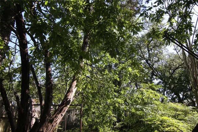 a view of a house with a yard covered in snow