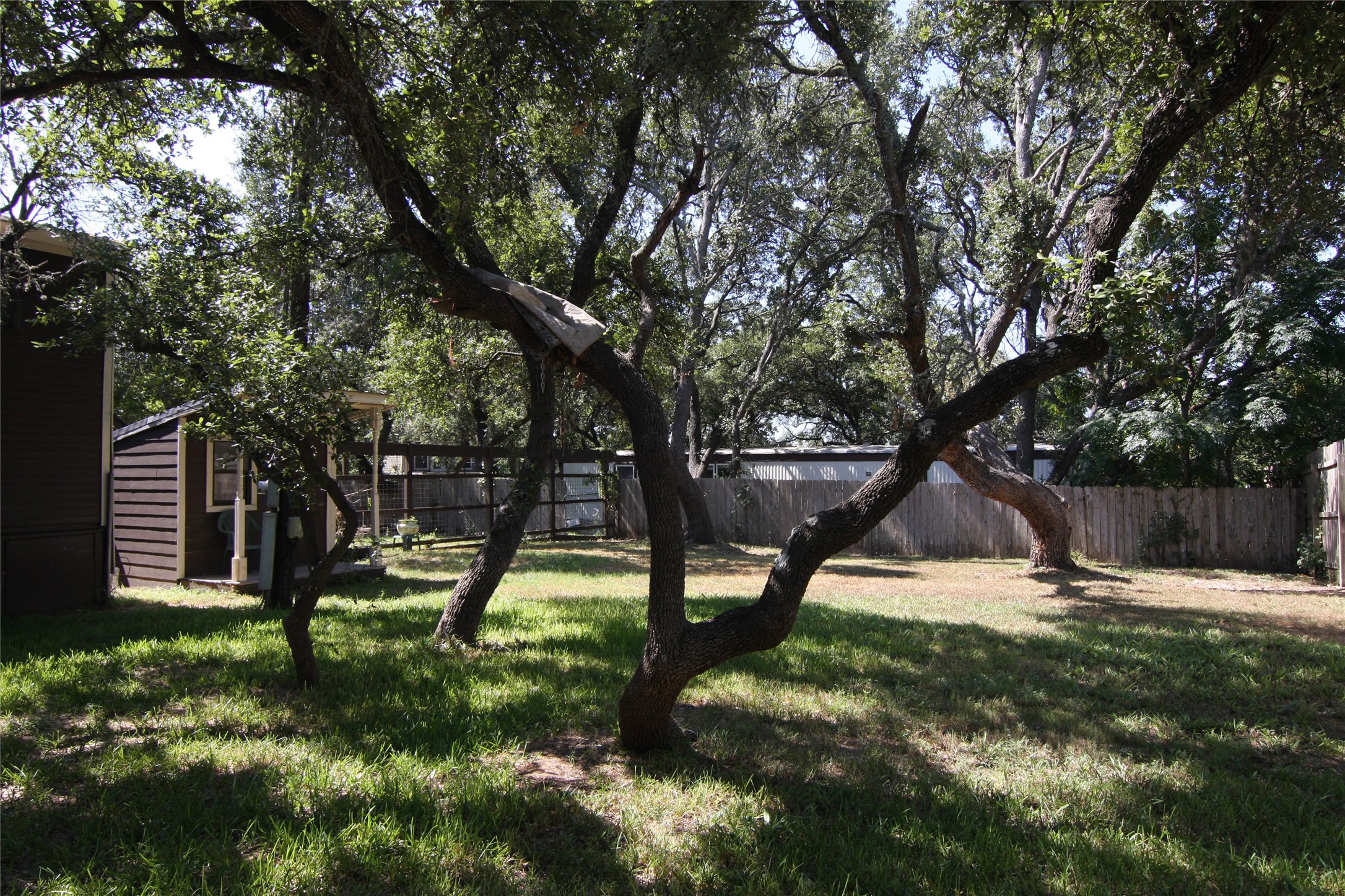 7806-7804 Indian Ridge Drive Austin, TX 78737 - Photo 17 of 40 a green field with lots of trees