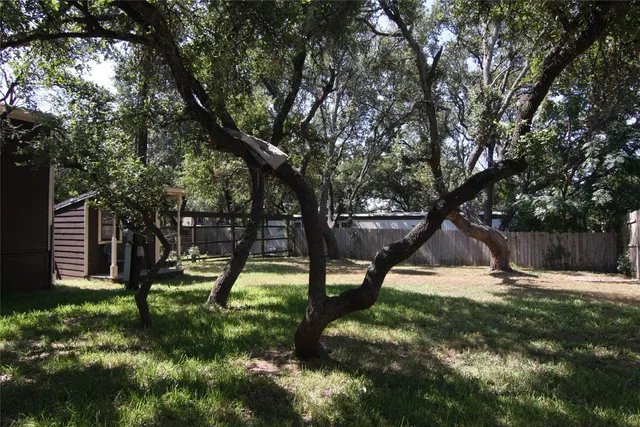 a view of a yard with large trees