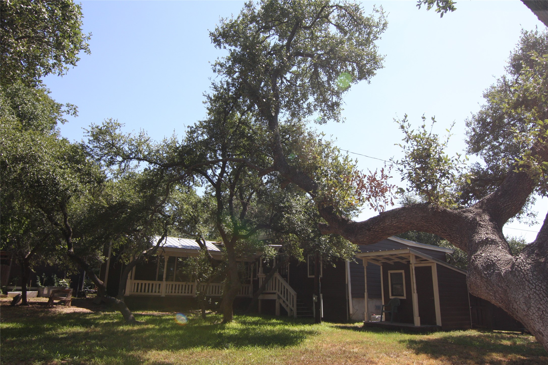 7806-7804 Indian Ridge Drive Austin, TX 78737 - Photo 19 of 40 a view of a yard with large trees