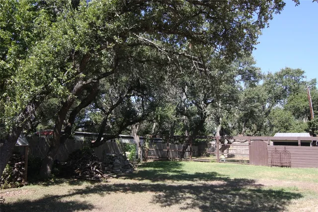 a view of a backyard with plants and trees