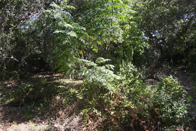 a view of house with backyard and sitting area