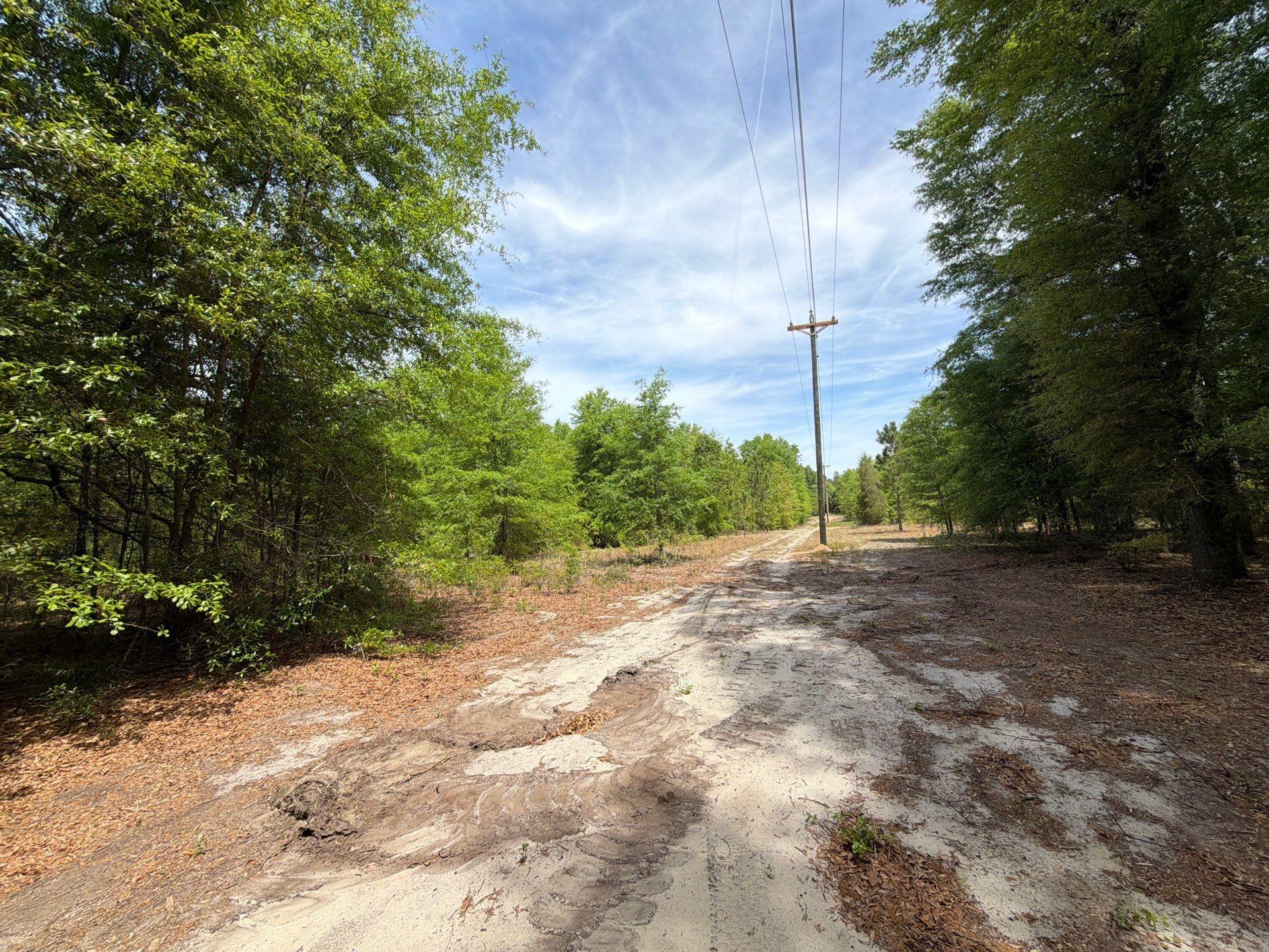 5 Rogers Cemetery Road, Unit RRF 5 Salley, SC 29137 - Photo 14 of 24