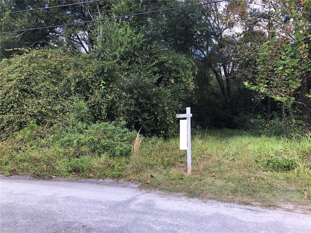 Shetland Ln Spring Hill Spring Hill, FL 34610 - Photo 1 of 1
