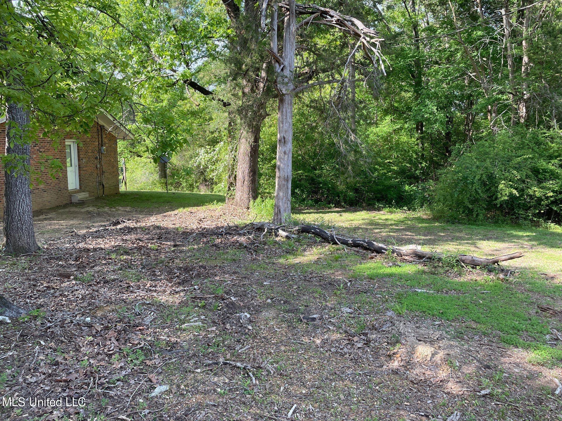 7420 County Line Road Carthage, MS 39051 - Photo 23 of 26 19-Apr 15 2024 04_26pm-Xh1S
