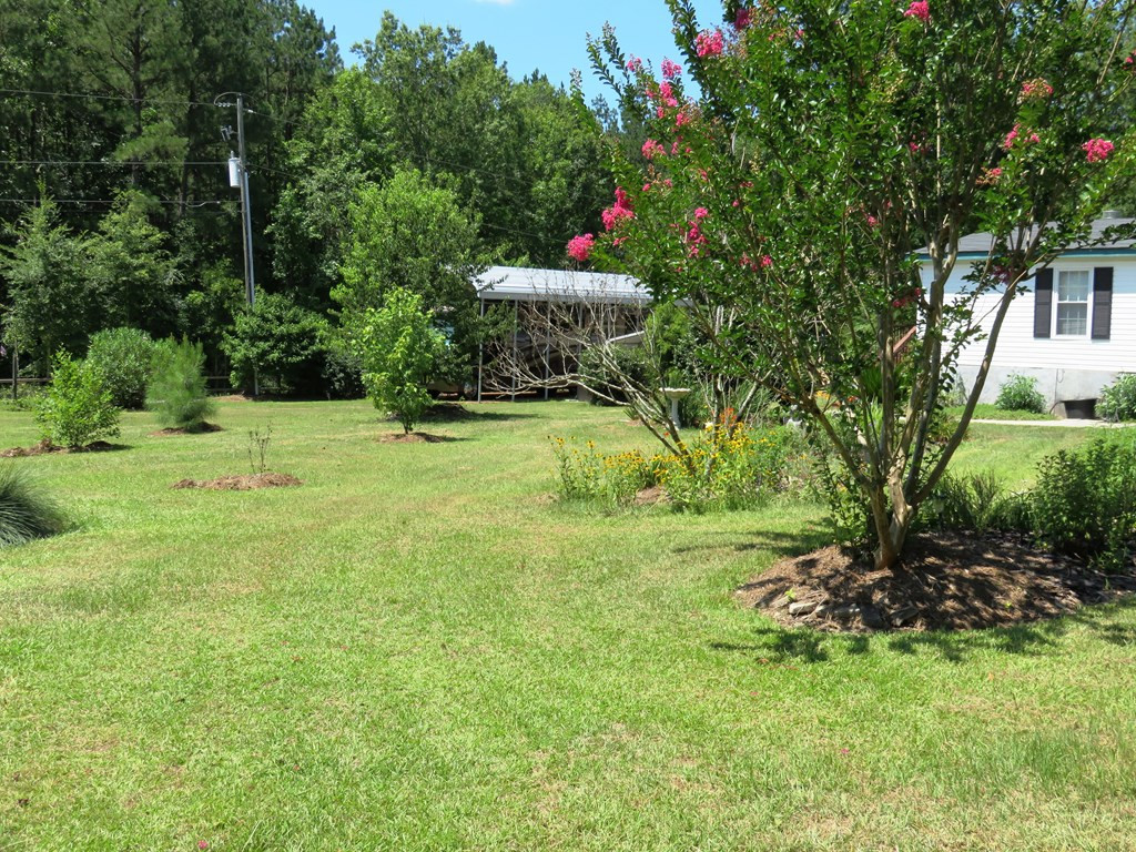 1544 Joy Road Harlem, GA 30814 - Photo 9 of 28