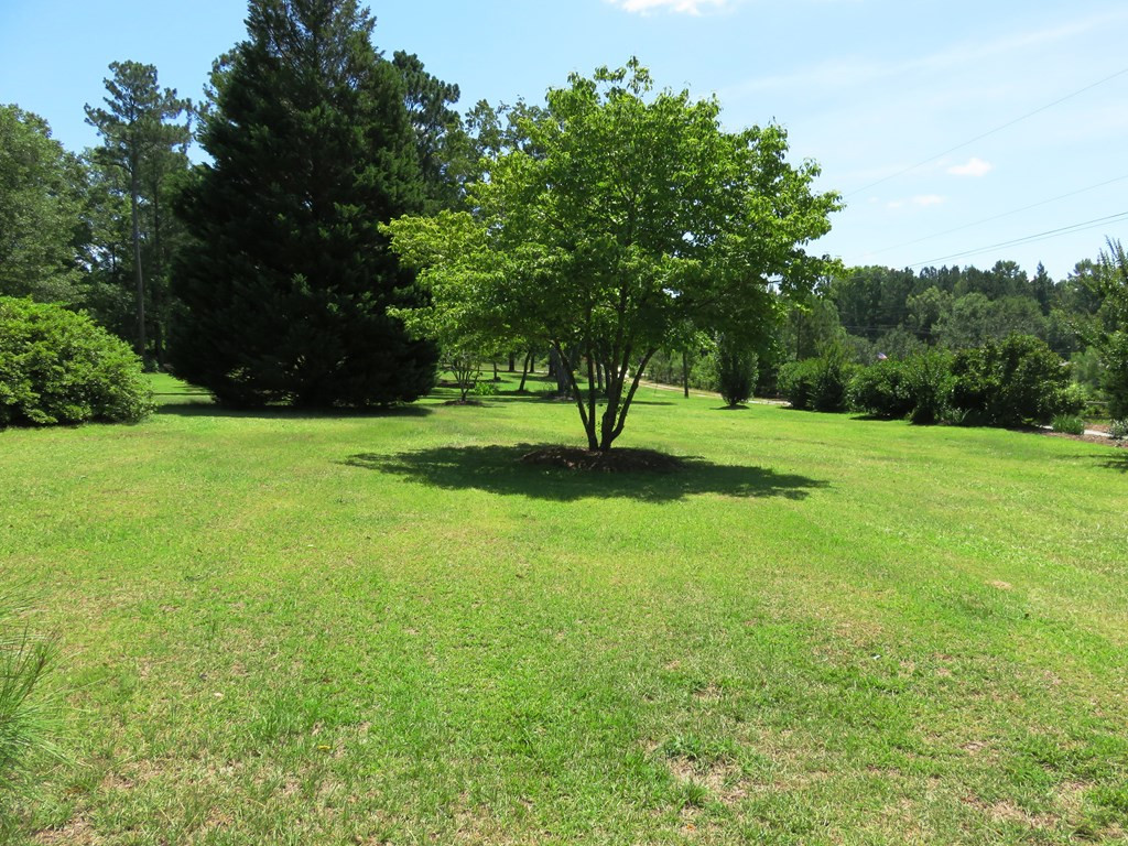 1544 Joy Road Harlem, GA 30814 - Photo 10 of 28