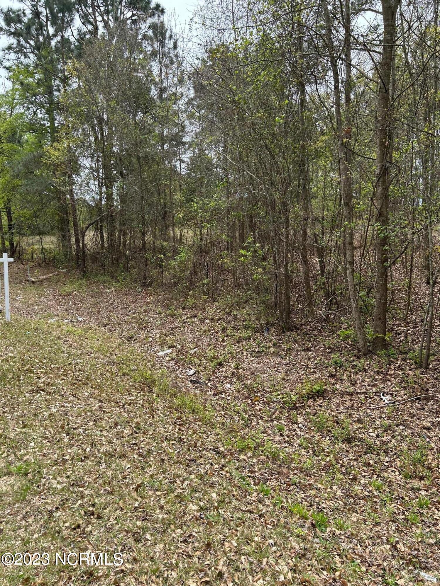 Tbd Hickory Street Rockingham, NC 28379 - Photo 1 of 3 IMG_4475