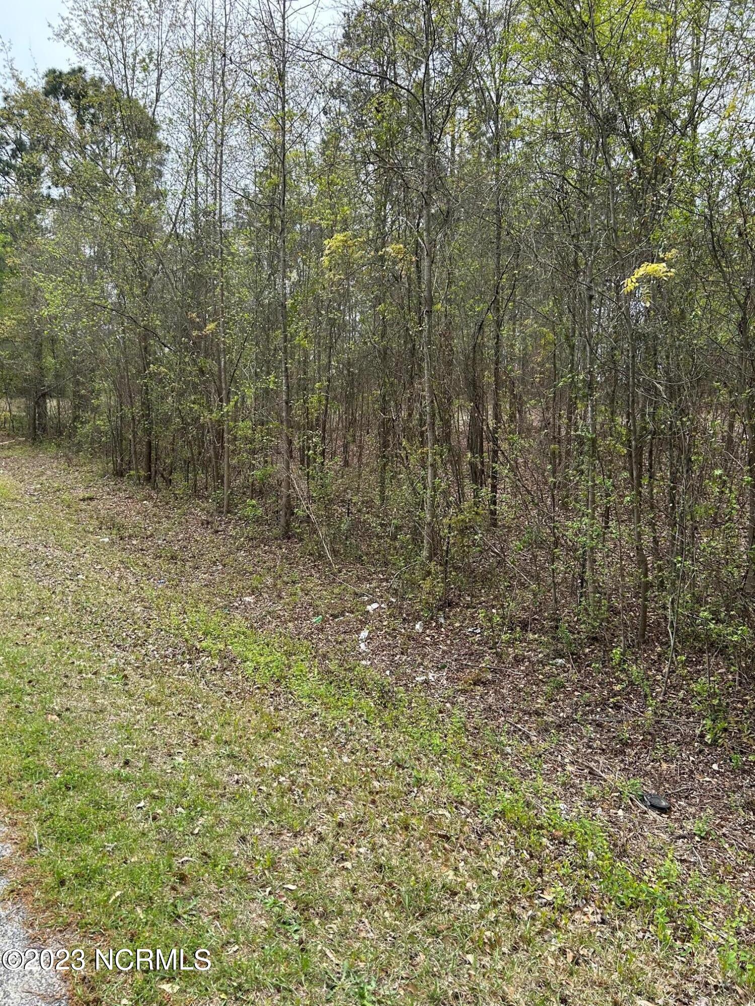 Tbd Hickory Street Rockingham, NC 28379 - Photo 2 of 3 IMG_4476