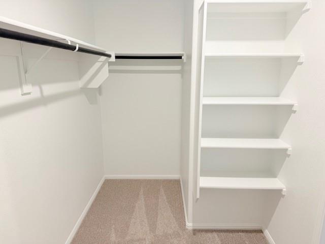 14205 Bacton Road Pilot Point, TX 76258 - Photo 17 of 19 a view of an empty walk in closet