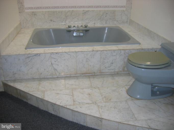 3901 Sweet Air Road Phoenix, MD 21131 - Photo 12 of 14 Whirlpool tub
