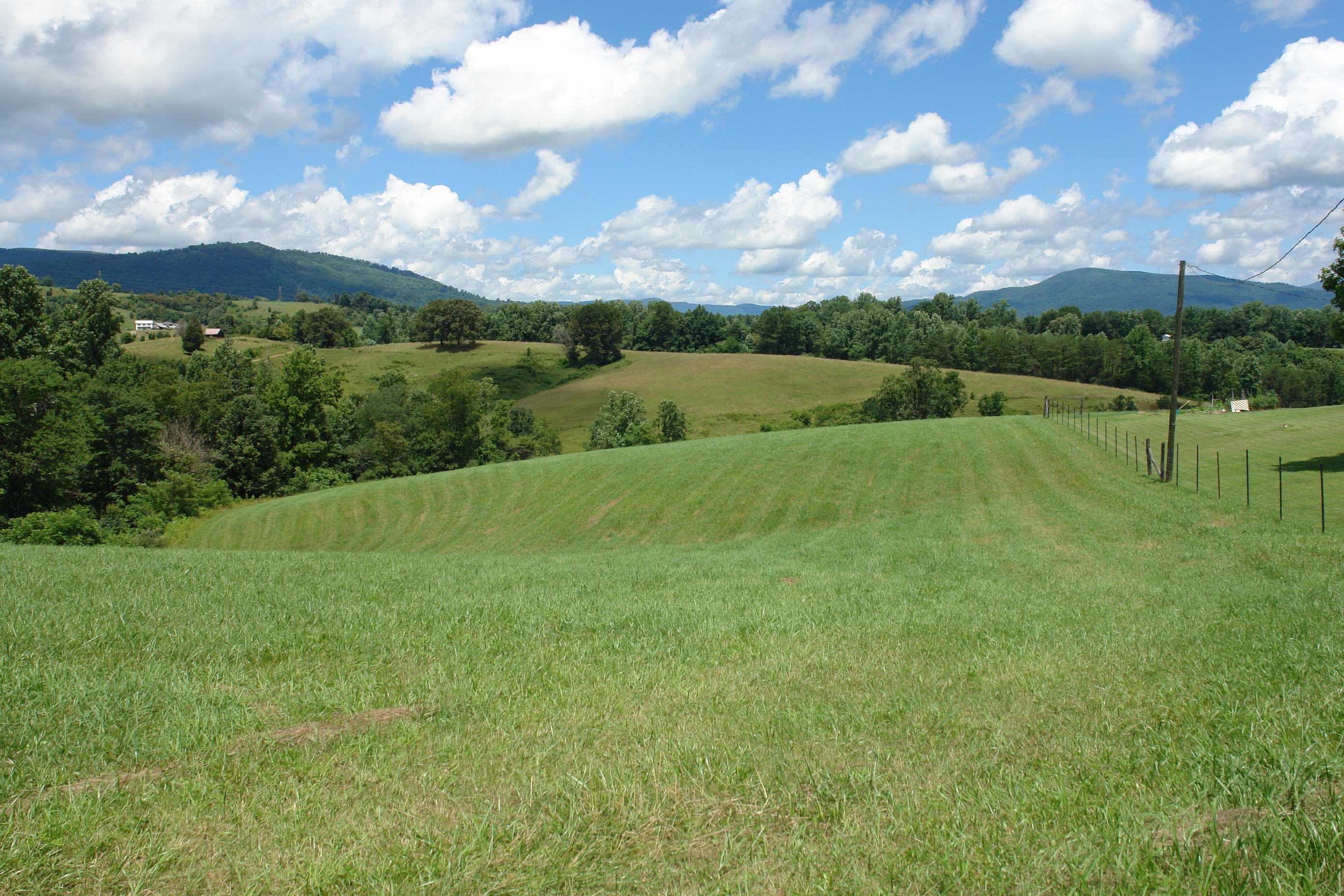 1373 Simmons Mill Road Thaxton, VA 24174 - Photo 1 of 15 Land