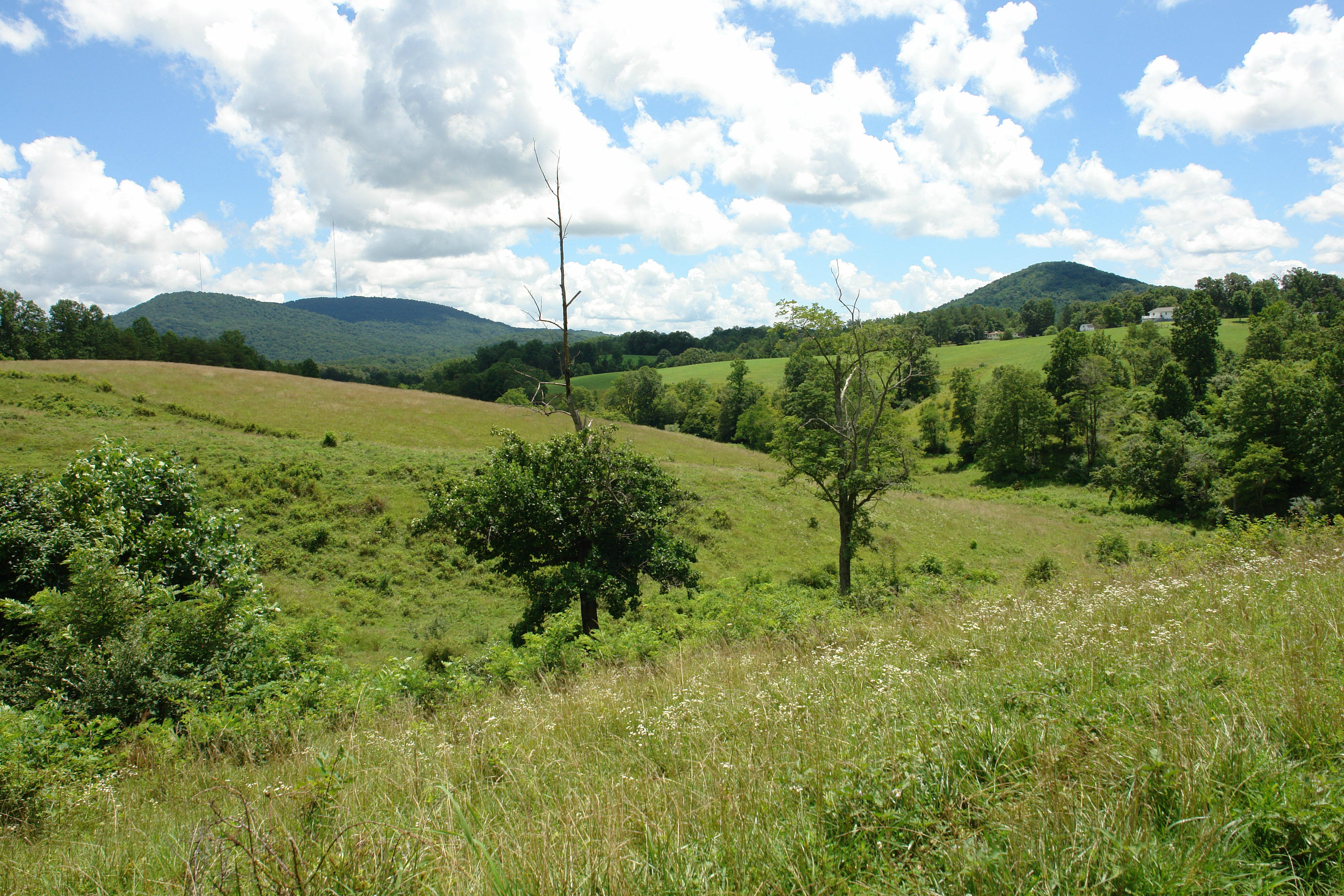 1373 Simmons Mill Road Thaxton, VA 24174 - Photo 13 of 15 Land