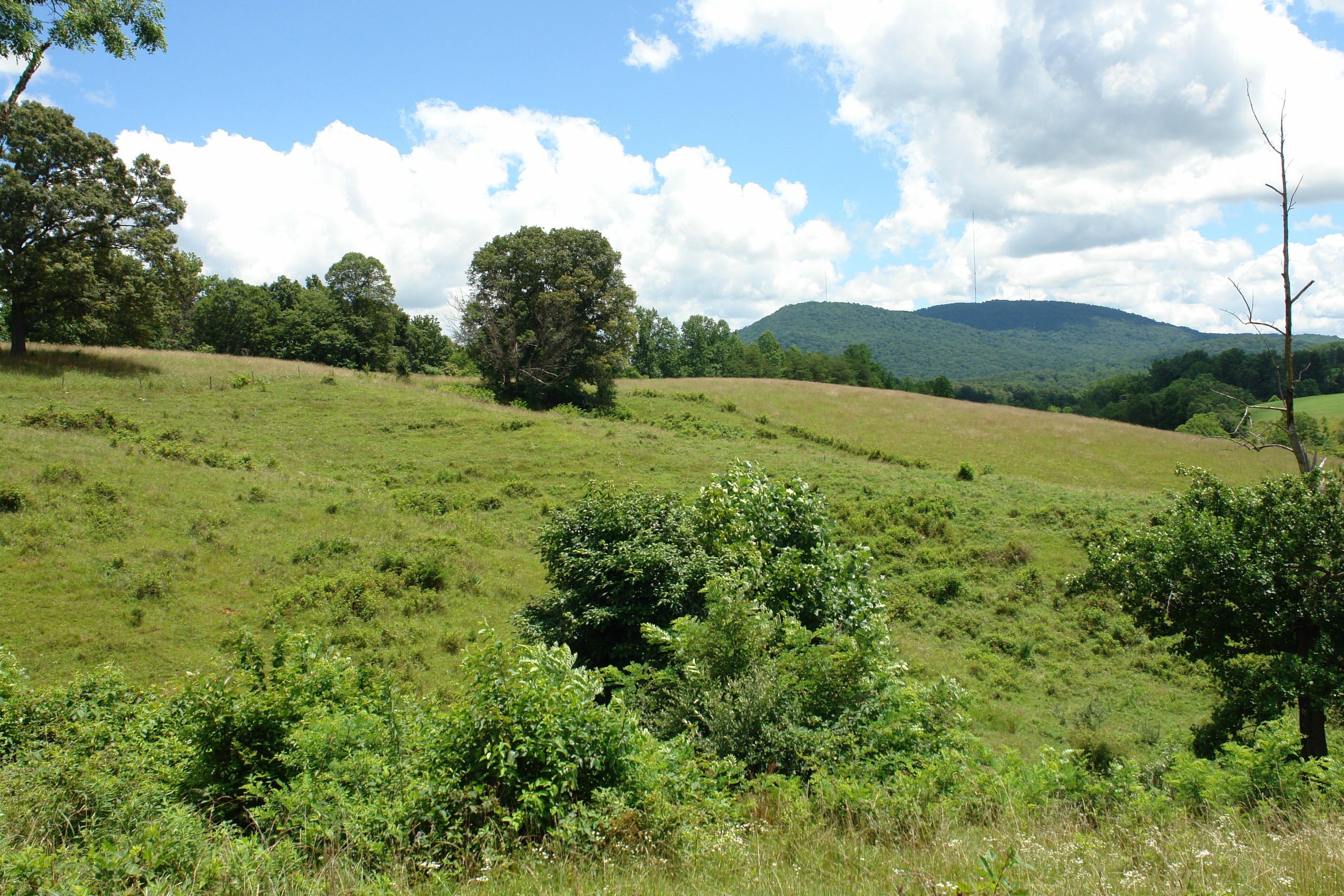 1373 Simmons Mill Road Thaxton, VA 24174 - Photo 14 of 15 Land
