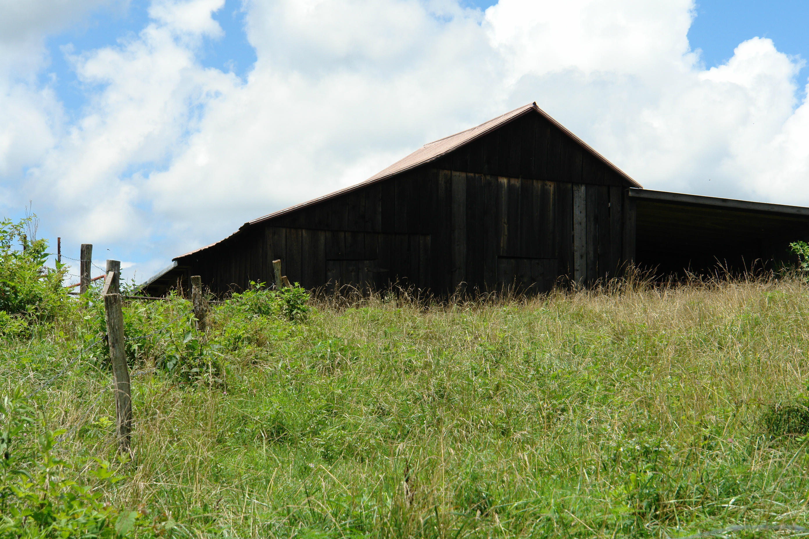 1373 Simmons Mill Road Thaxton, VA 24174 - Photo 15 of 15 Barn