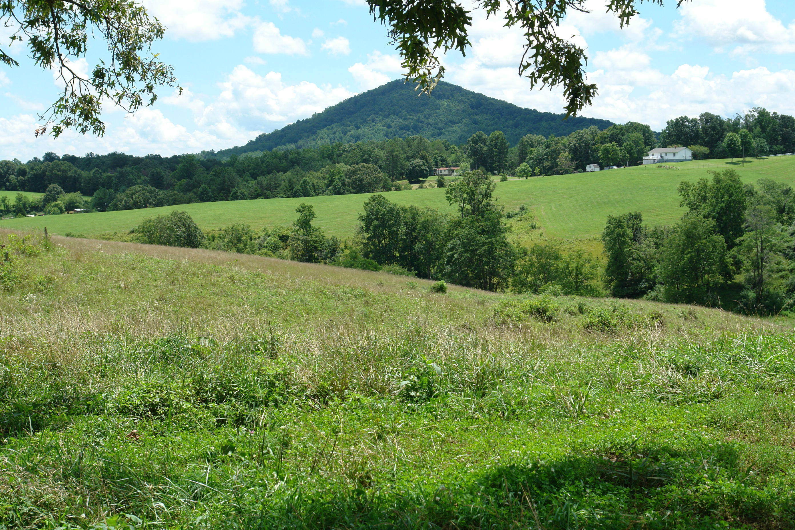 1373 Simmons Mill Road Thaxton, VA 24174 - Photo 2 of 15 Views
