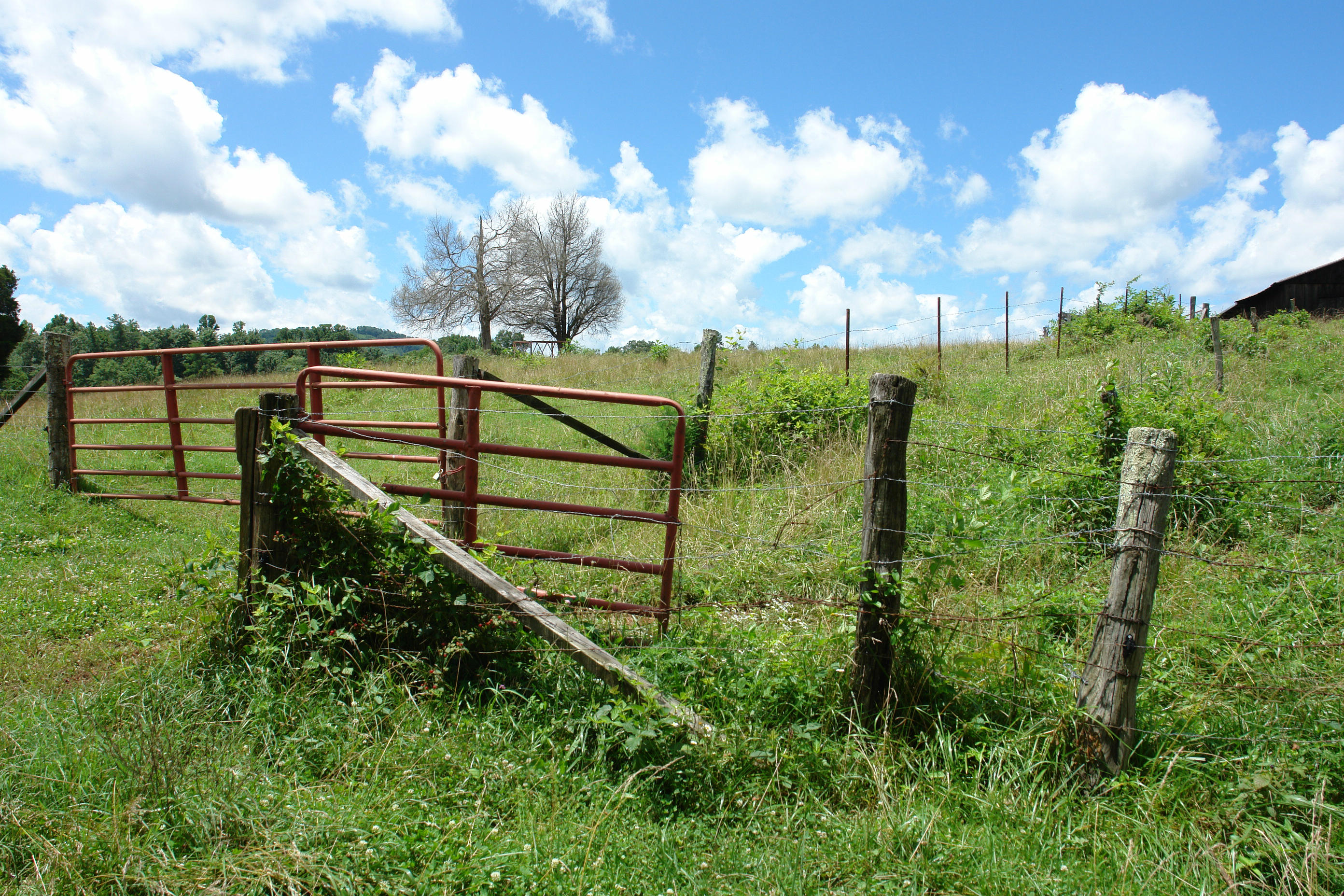 1373 Simmons Mill Road Thaxton, VA 24174 - Photo 4 of 15 Land