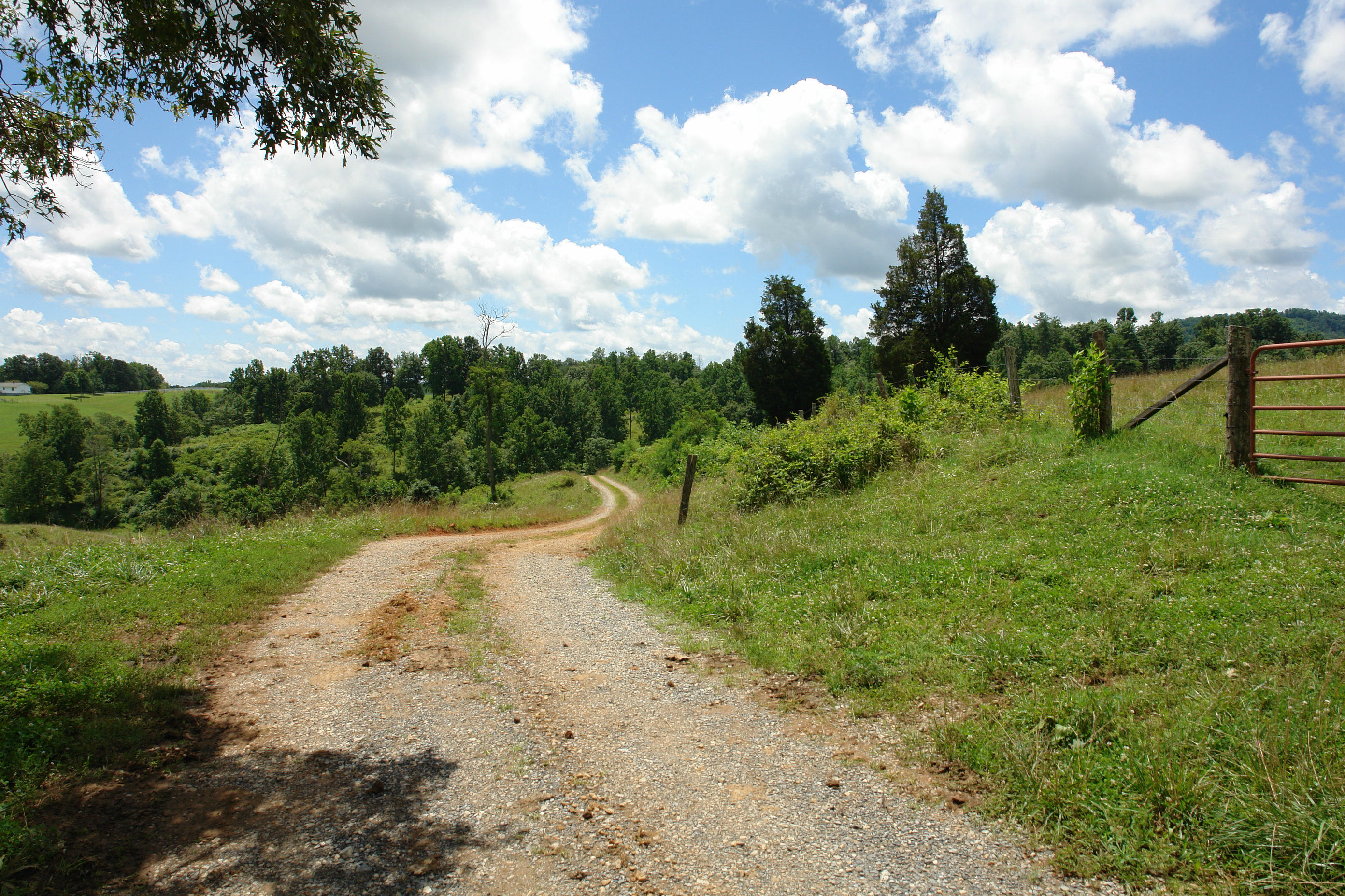 1373 Simmons Mill Road Thaxton, VA 24174 - Photo 5 of 15 Roadway