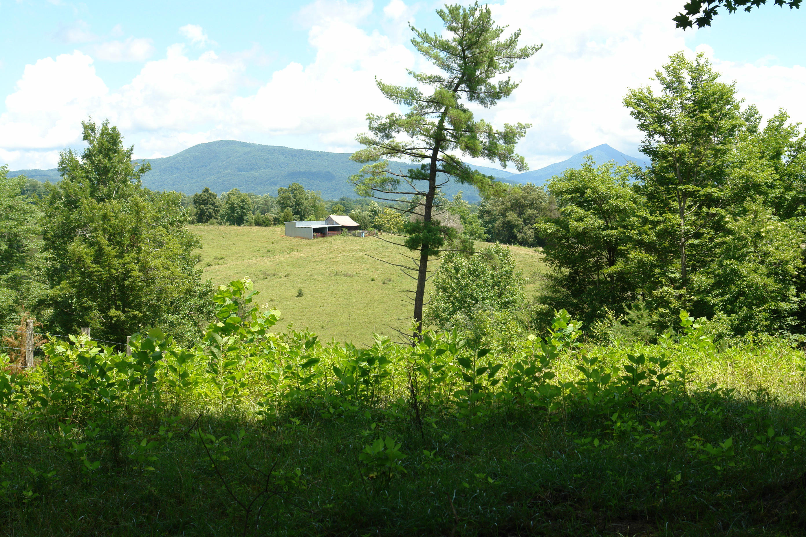 1373 Simmons Mill Road Thaxton, VA 24174 - Photo 6 of 15 View of Barn