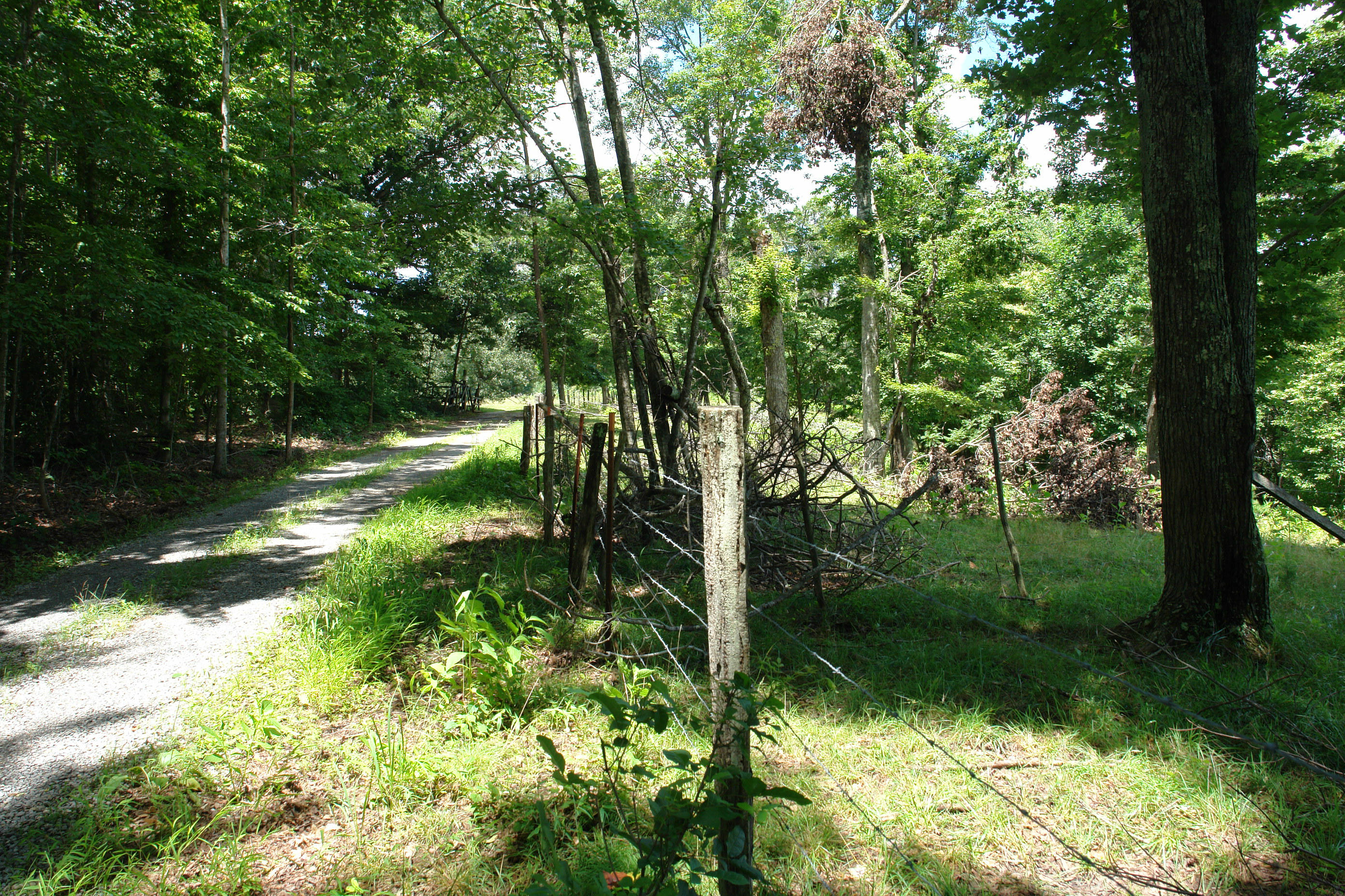 1373 Simmons Mill Road Thaxton, VA 24174 - Photo 7 of 15 Land