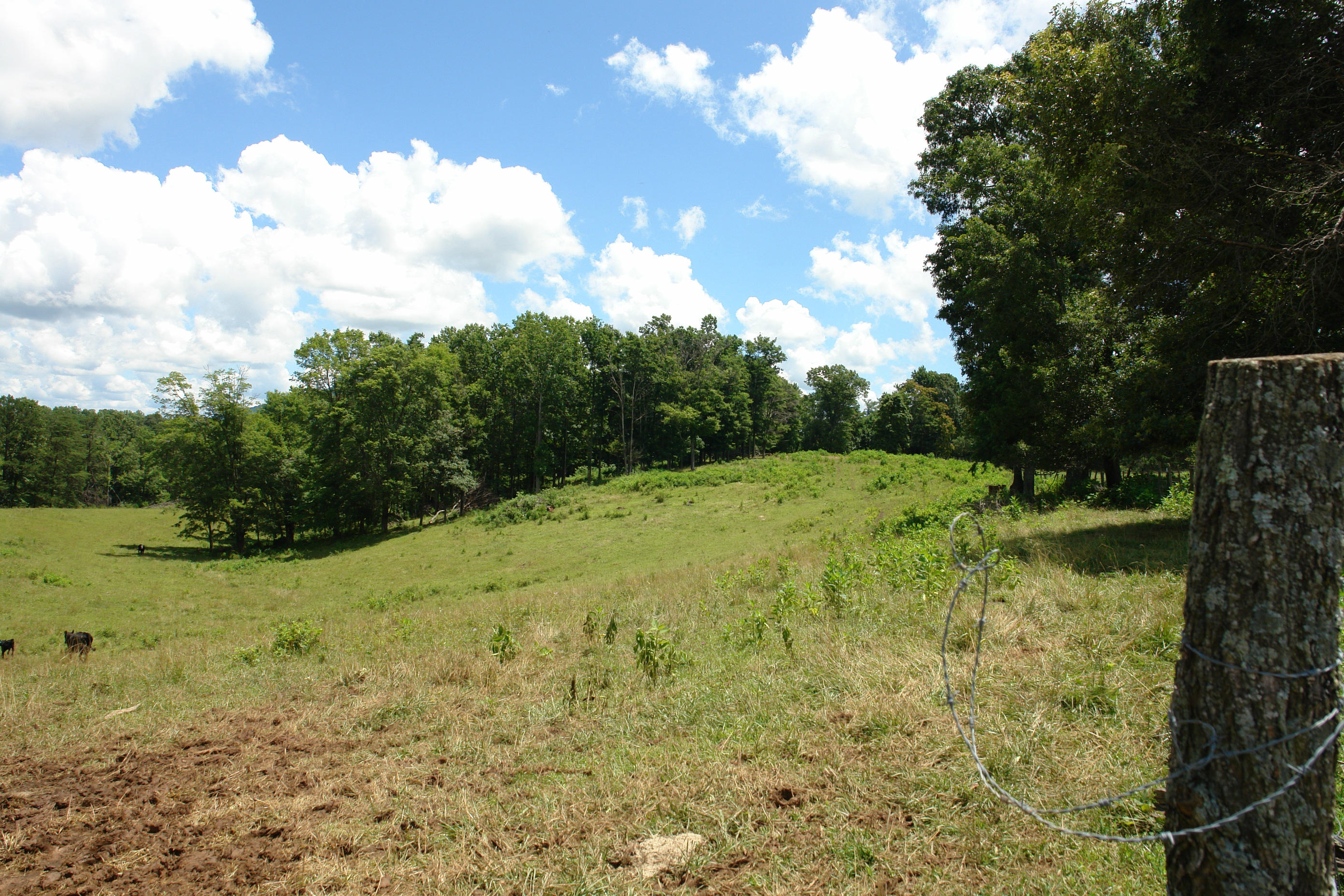 1373 Simmons Mill Road Thaxton, VA 24174 - Photo 10 of 15 Pasture